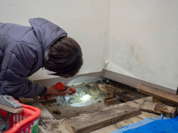 Environmental Consulting for Mold Prevention in Vaughn, WA
