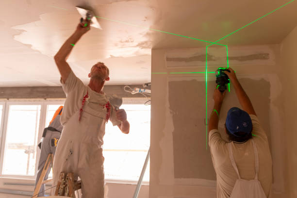  Vaughn, WA Mold Removal Pros